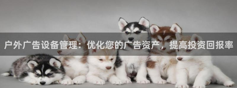 杏宇官方平台官网：户外广告设备管理：优化您的广告资产，提高投资回报率