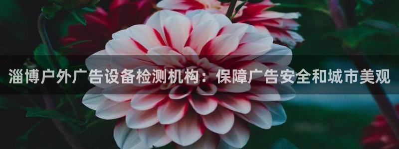杏宇官方平台官网：淄博户外广告设备检测机构：保障广告安全和城市美观