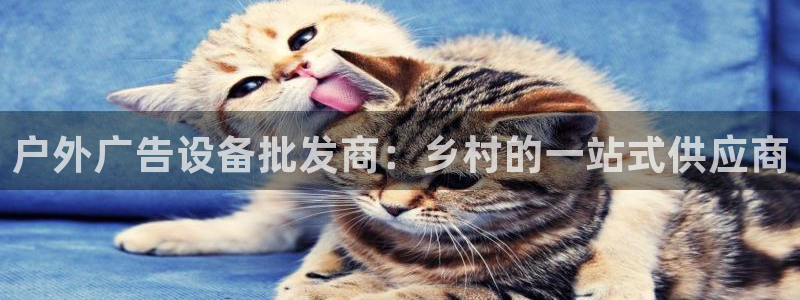 杏宇平台客服：户外广告设备批发商：乡村的一站式供应商