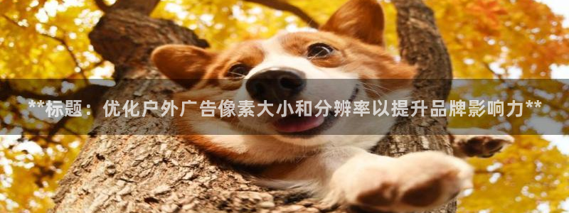 杏宇平台登录步骤图：**标题：优化户外广告像素大小和分辨率以提升品牌影响力**