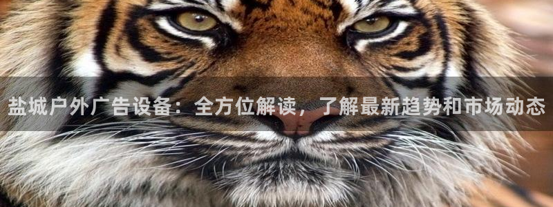 杏宇平台怎么样赚钱：盐城户外广告设备：全方位解读，了解最新趋势和市场动态