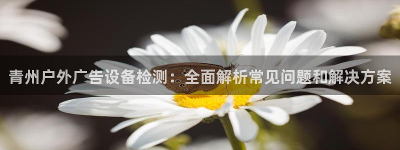 杏宇平台代理怎么样啊：青州户外广告设备检测：全面解析常见问题和解决方案