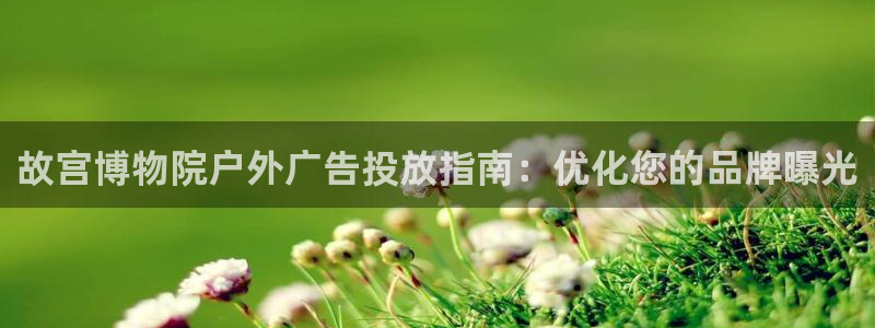 杏宇平台招商电话号码：故宫博物院户外广告投放指南：优化您的品牌曝光