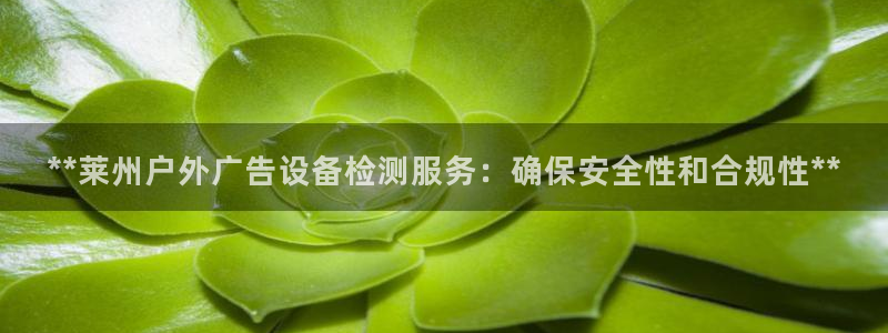 杏宇平台提现为什么这么久呢：**莱州户外广告设备检测服务：确保安全性和合规性**