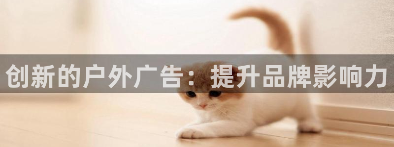 杏宇平台登陆