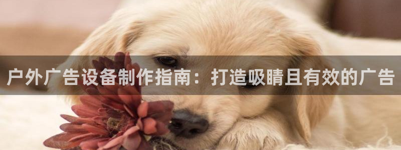 杏宇代理注册：户外广告设备制作指南：打造吸睛且有效的广告