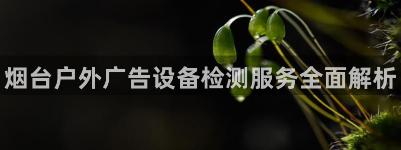 杏宇平台招商电话号码：烟台户外广告设备检测服务全面解析