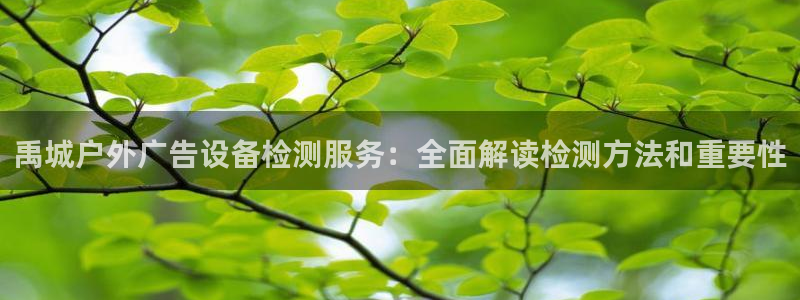 杏宇平台总代理：禹城户外广告设备检测服务：全面解读检测方法和重要性