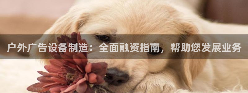 杏宇代理注册：户外广告设备制造：全面融资指南，帮助您发展业务