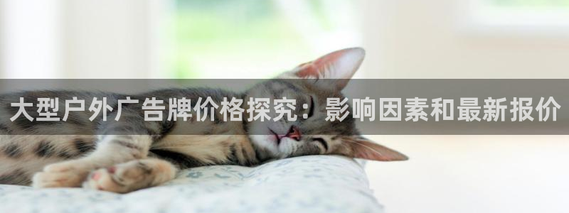杏宇平台代理多少钱一个：大型户外广告牌价